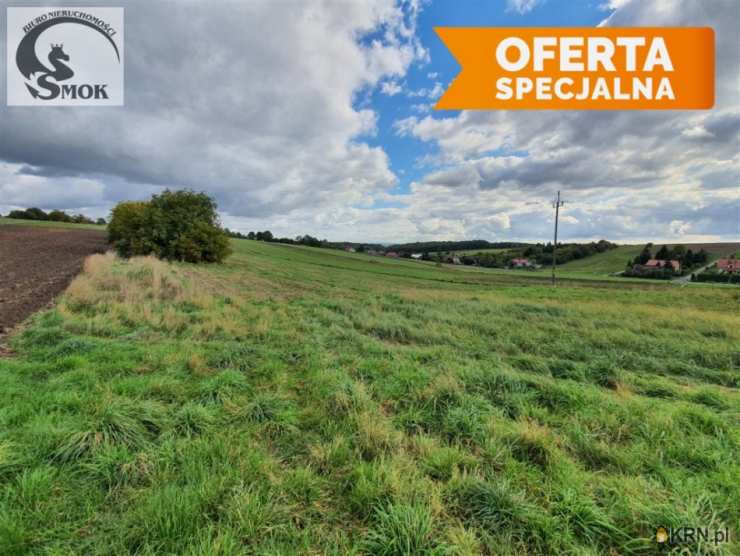 Działki  na sprzedaż, Wielka Wieś, ul. , 