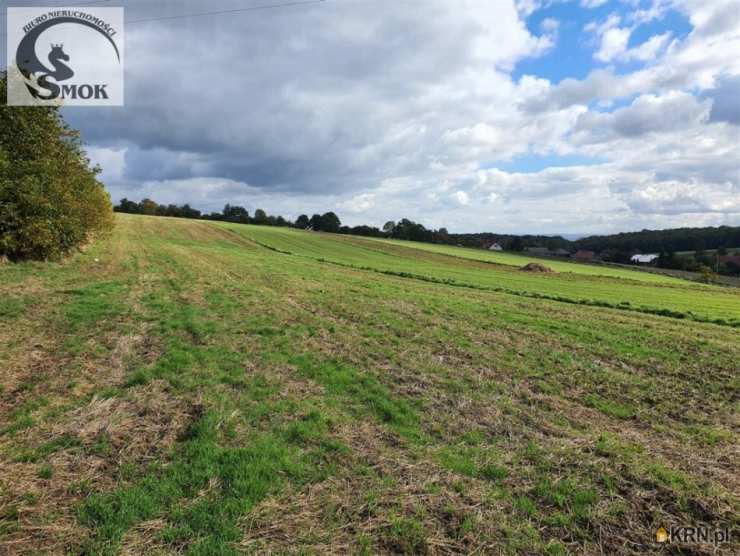 Działki  na sprzedaż, , Wielka Wieś, ul. 