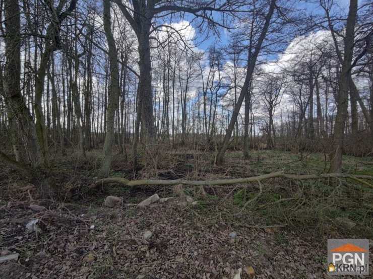 Wolin, ul. , Działki  na sprzedaż, 