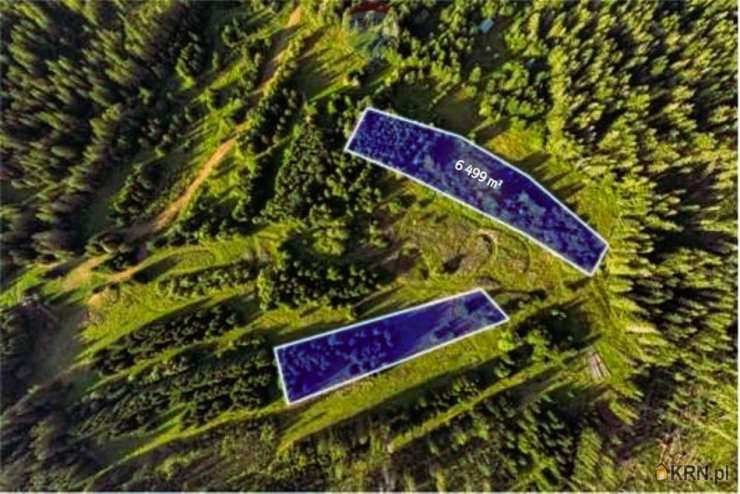 Dzianisz, ul. , Działki  na sprzedaż, 