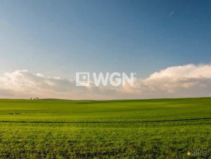 Działki  na sprzedaż, Inowrocław, Mątwy, ul. , 