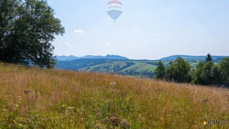 Działki  na sprzedaż, Dzianisz, ul. , 