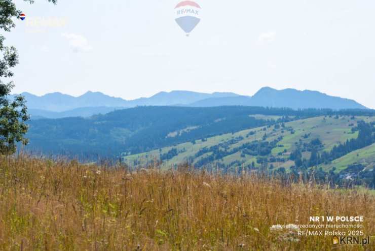 Działki  na sprzedaż, Dzianisz, ul. , 