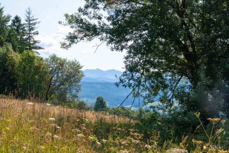 , Działki  na sprzedaż, Dzianisz, ul. 