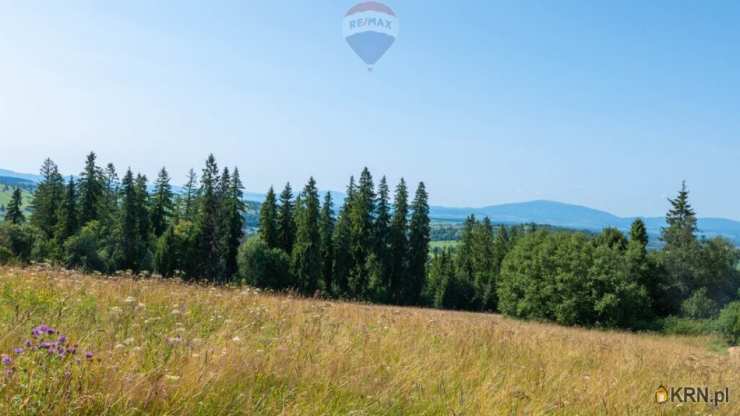 RE/MAX Polska, Działki  na sprzedaż, Dzianisz, ul. 