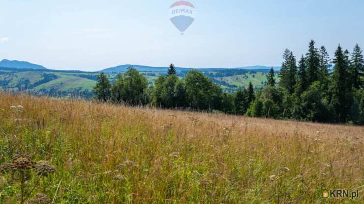 Działki  na sprzedaż, , Dzianisz, ul. 