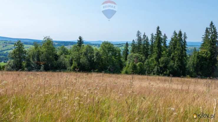 , Dzianisz, ul. , Działki  na sprzedaż