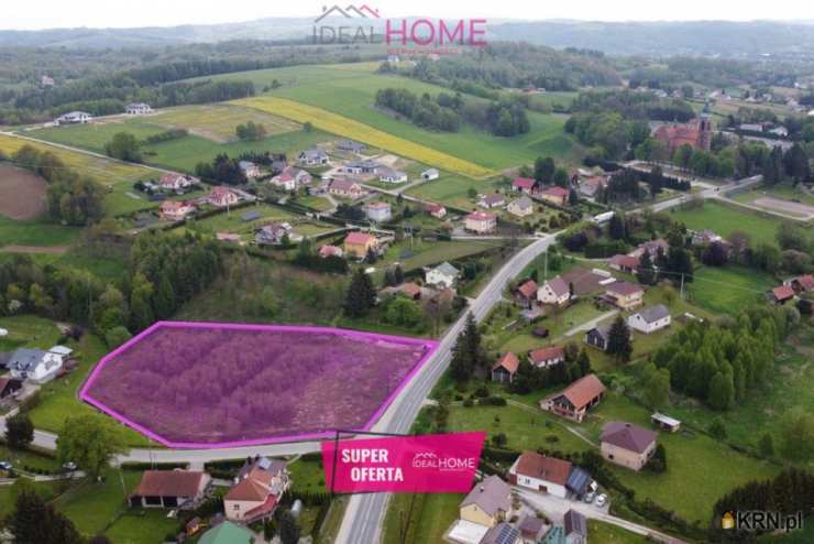 Działki  na sprzedaż, Dobrzechów, ul. , 