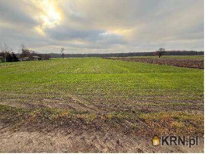 Działki  na sprzedaż, , Gozdy, ul. 
