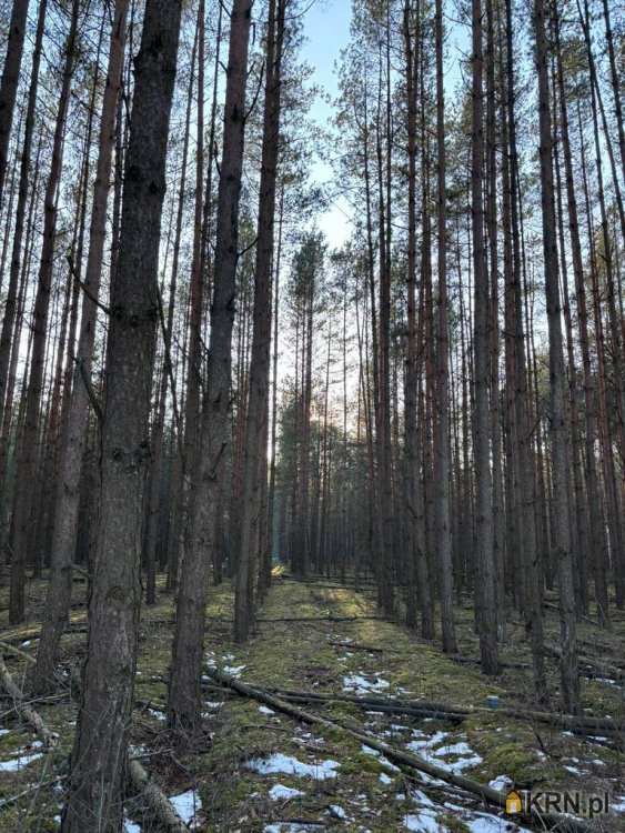 Malinniki, ul. , Działki  na sprzedaż, 