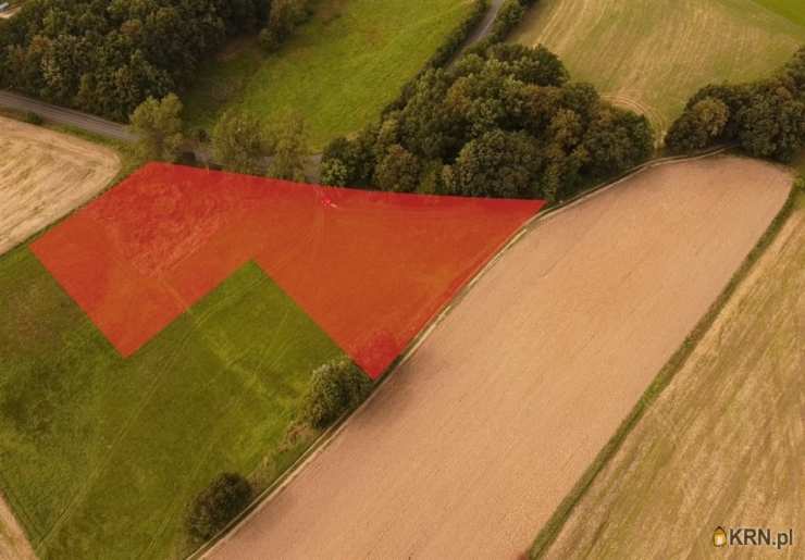 Działki  na sprzedaż, Siedlęcin, ul. , 