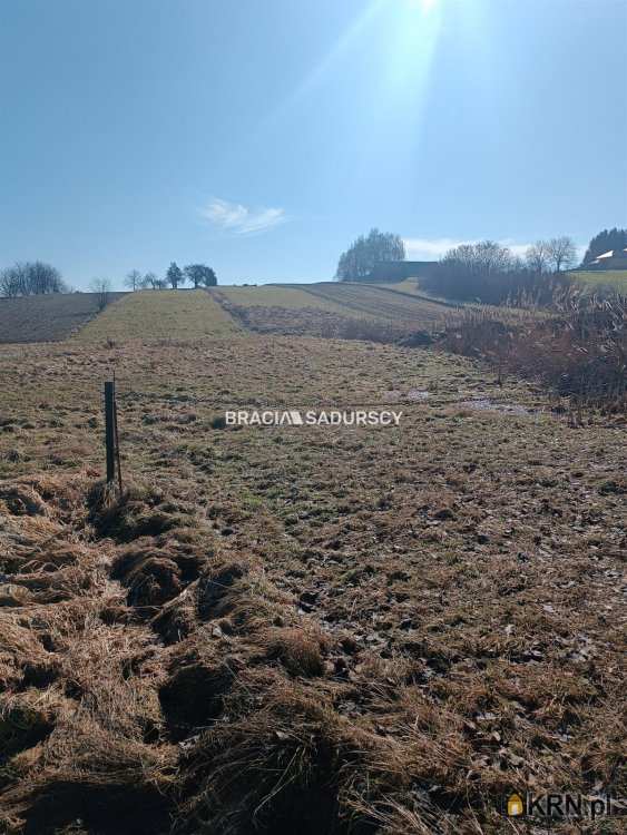 Działki  na sprzedaż, Bodzanów, ul. , 