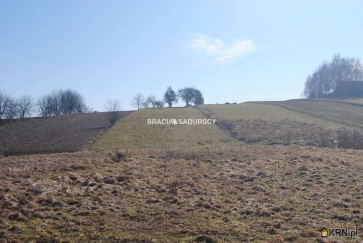 Działki  na sprzedaż, , Bodzanów, ul. 