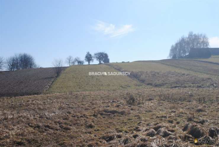 Bodzanów, ul. , Działki  na sprzedaż, 