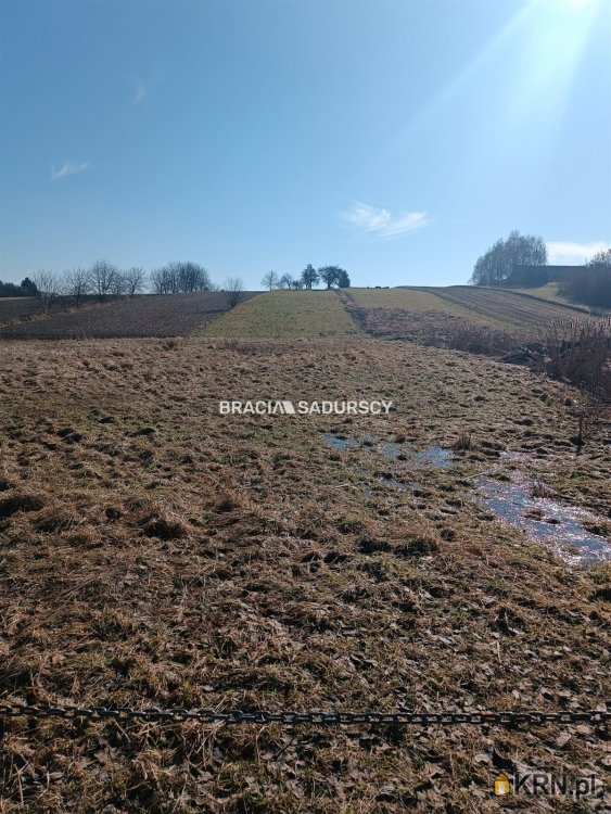 Bracia Sadurscy Oddział BS1 Kapelanka, Działki  na sprzedaż, Bodzanów, ul. 
