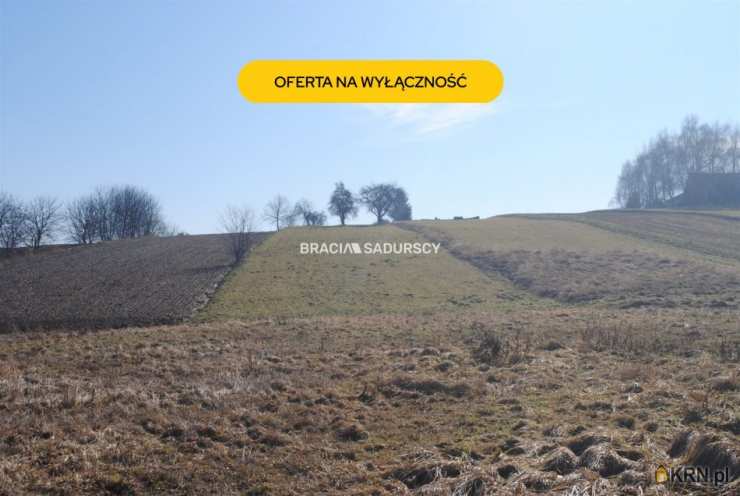 Działki  na sprzedaż, Bodzanów, ul. , 