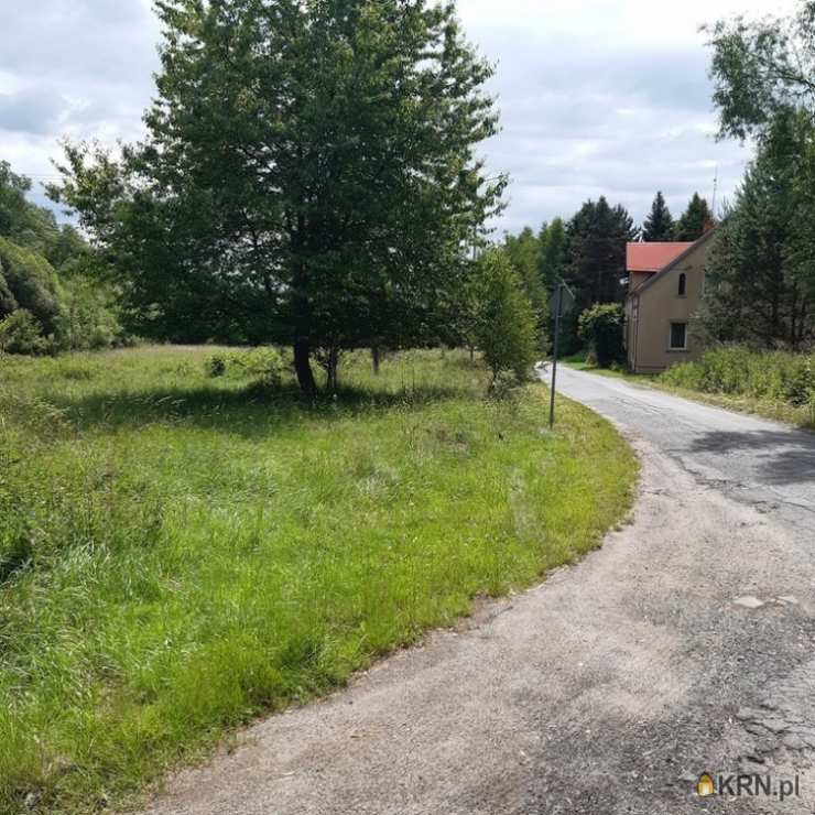 Chocieszów, ul. , Działki  na sprzedaż, 