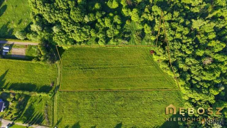 Działki  na sprzedaż, , Dobczyce, ul. 