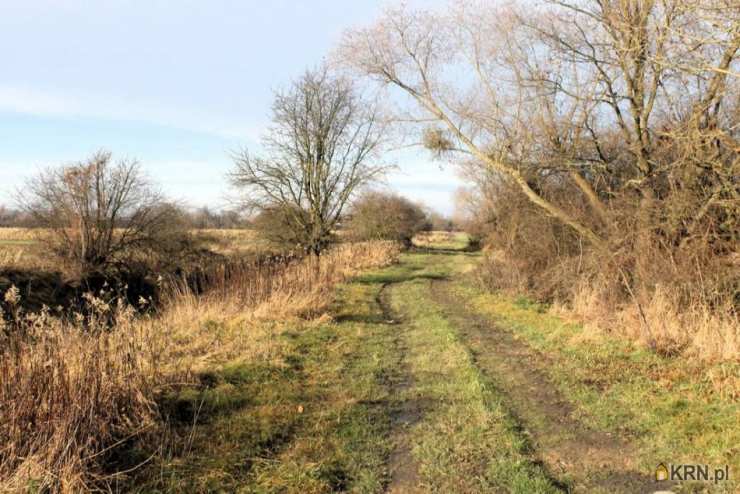 Działki  na sprzedaż, , Kotowice, ul. 