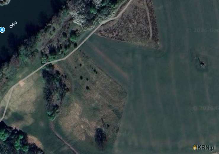 Kotowice, ul. , Działki  na sprzedaż, 