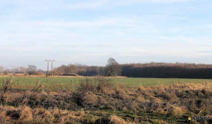 Kotowice, ul. , , Działki  na sprzedaż