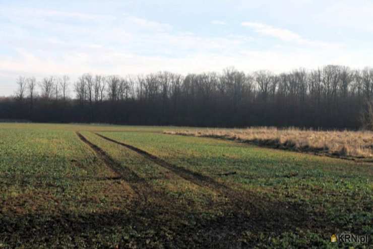 , Kotowice, ul. , Działki  na sprzedaż