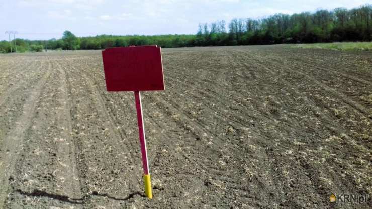 Działki  na sprzedaż, , Kotowice, ul. 