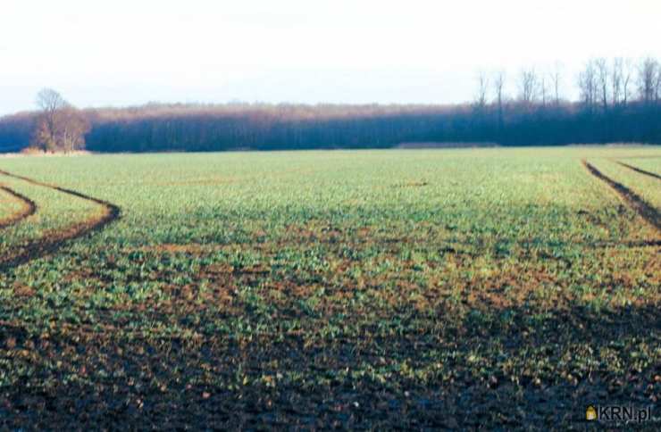 Kotowice, ul. , Działki  na sprzedaż, 