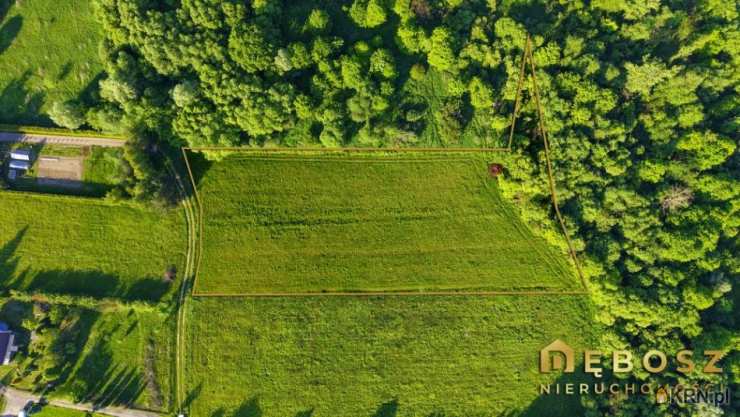 Działki  na sprzedaż, , Niezdów, ul. 