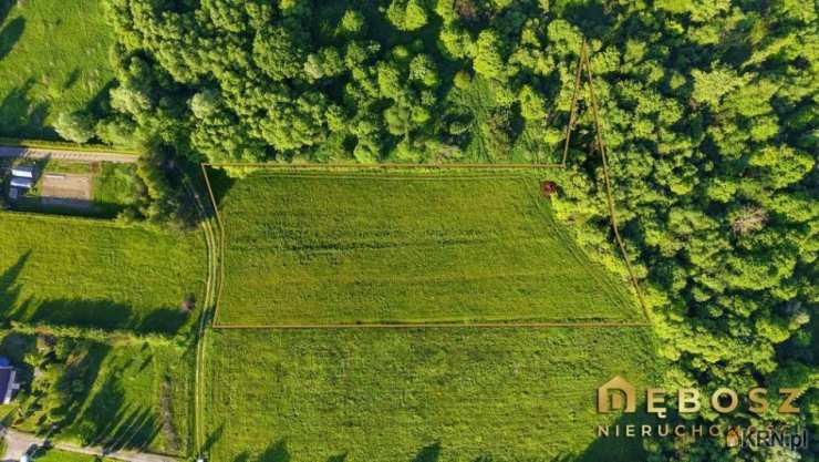 Działki  na sprzedaż, , Niezdów, ul. 