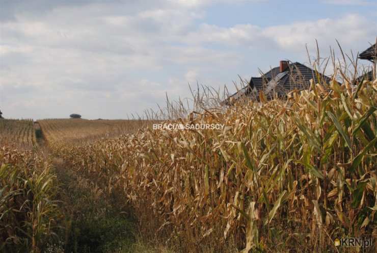 , Proszowice, ul. Kolejowa, Działki  na sprzedaż