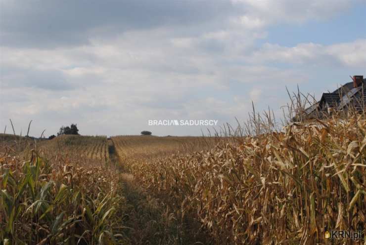 Proszowice, ul. Kolejowa, , Działki  na sprzedaż