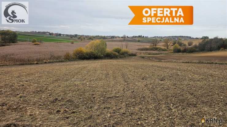 Działki  na sprzedaż, Karwin, ul. , 