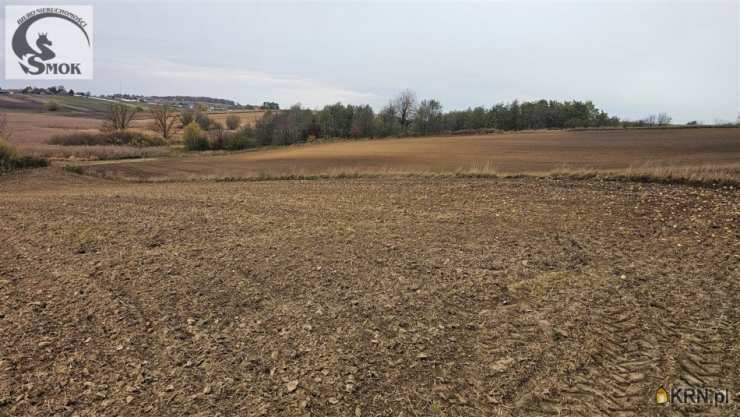 Działki  na sprzedaż, , Karwin, ul. 