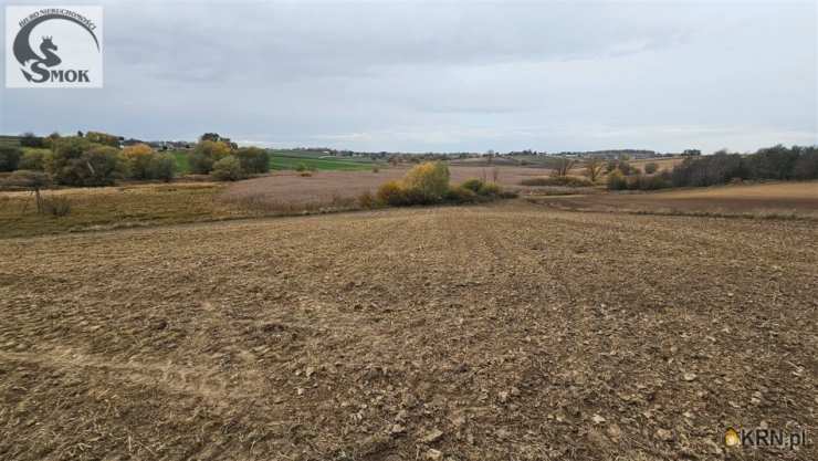 Karwin, ul. , Działki  na sprzedaż, 