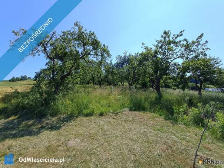 , Działki  na sprzedaż, Kleszczowa, ul. 