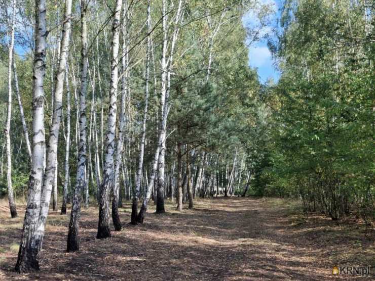 Działki  na sprzedaż, Michałówek, ul. , 