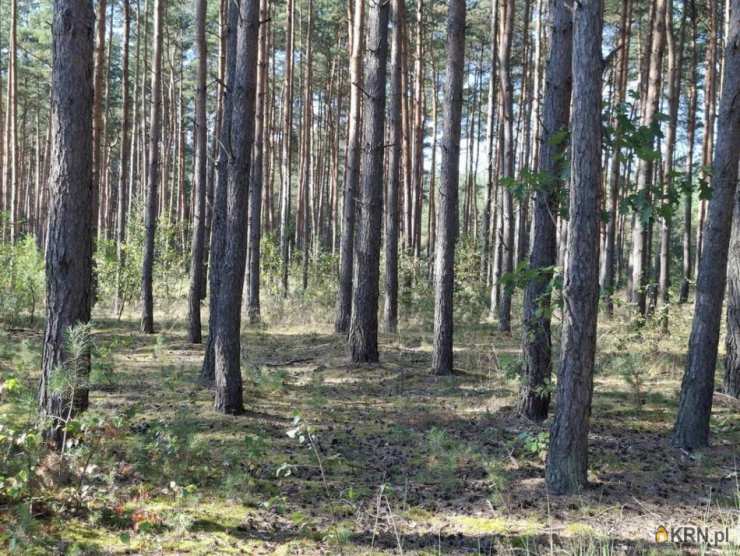 Działki  na sprzedaż, , Michałówek, ul. 