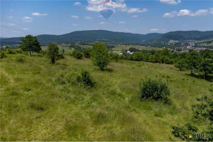 Rychwałd, ul. , Działki  na sprzedaż, 