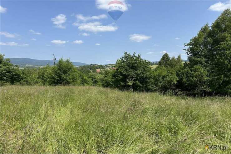 Działki  na sprzedaż, , Rychwałd, ul. 