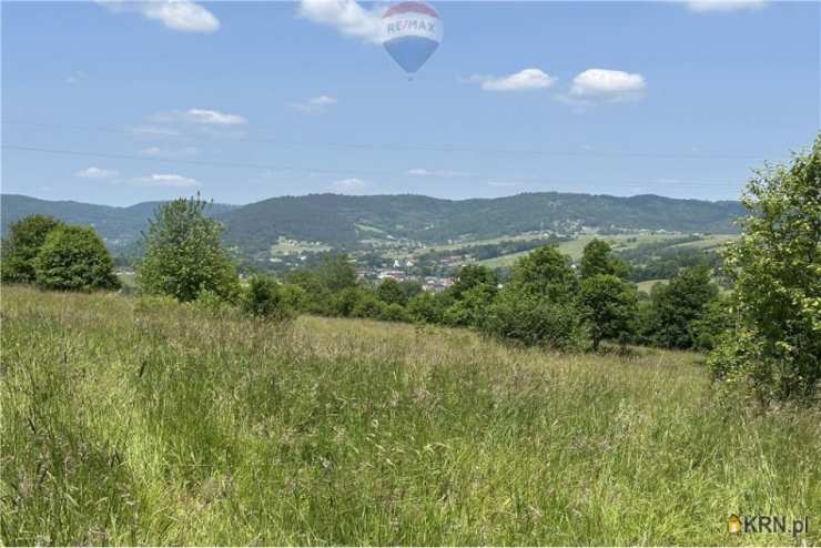 Rychwałd, ul. , Działki  na sprzedaż, 