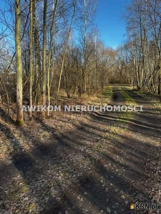 Działki  na sprzedaż, , Stare Budy, ul. 