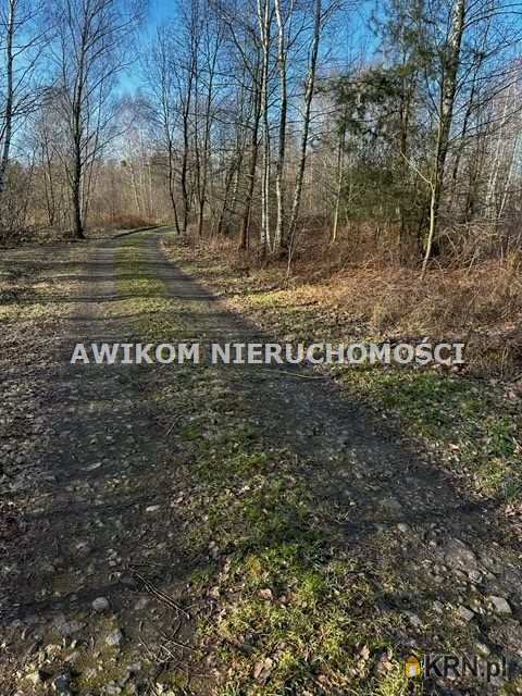 , Stare Budy, ul. , Działki  na sprzedaż