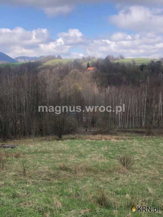 Działki  na sprzedaż, Olszyniec, ul. , 