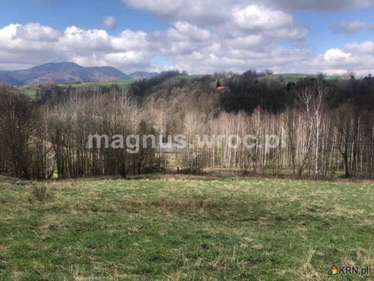 Działki  na sprzedaż, Olszyniec, ul. , 