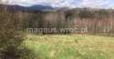 Działki na sprzedaż, Olszyniec
