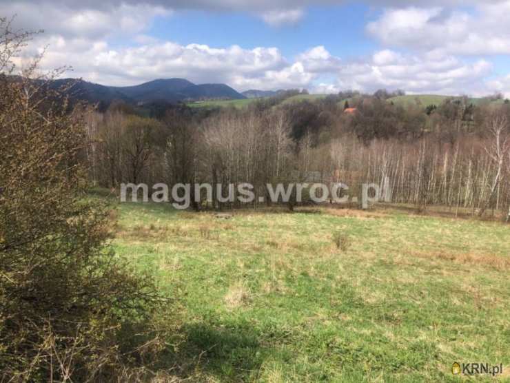 Olszyniec, ul. , Działki  na sprzedaż, 