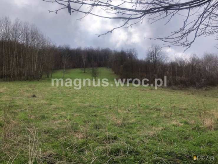 Olszyniec, ul. , , Działki  na sprzedaż