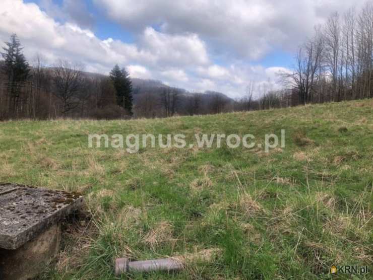 , Działki  na sprzedaż, Olszyniec, ul. 