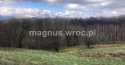 Działki na sprzedaż, Olszyniec